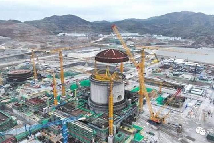 小稻秧的生长过程