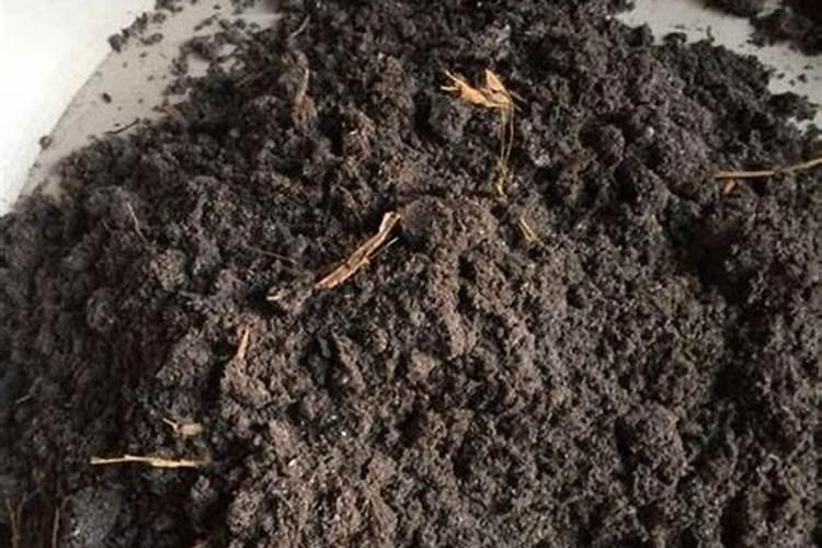 附近的有机肥生产厂家