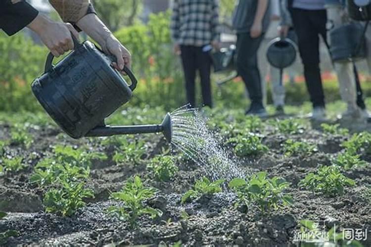 陕西远翔农林牧业有限公司怎么样？