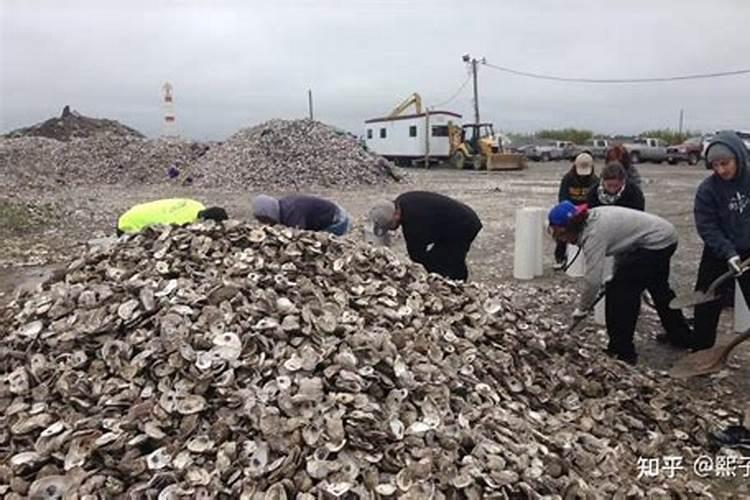 月季施什么肥开花