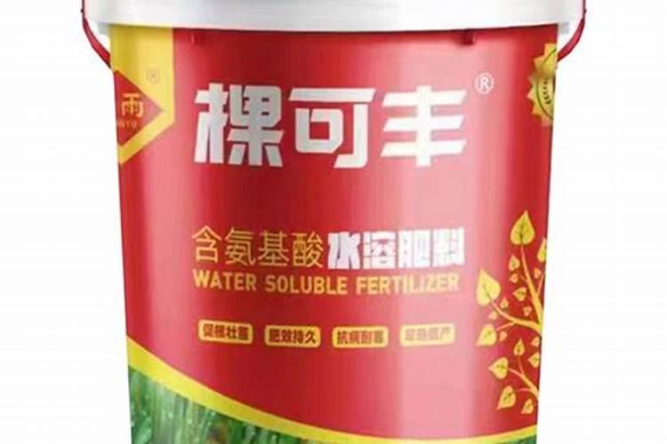 刚移栽的草莓可以天天浇水吗