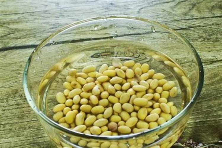 怎样牛奶豆浆施喷叶面肥