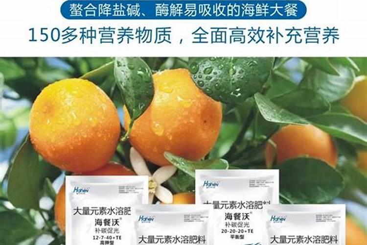 土豆产量每亩多少斤 附种植方法