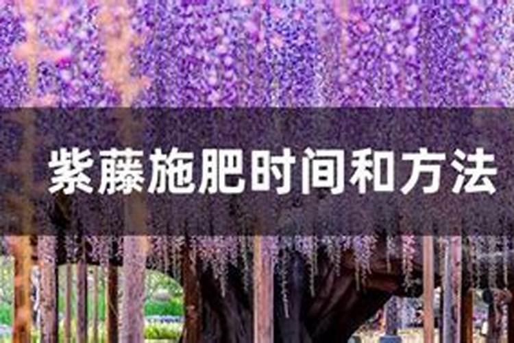 水稻除草剂药害症状及补救措施 除草剂什么时候打效果好