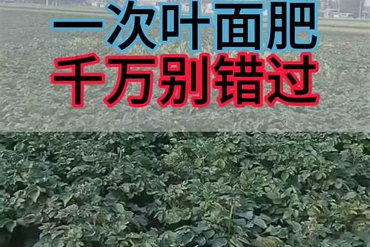 山东农大肥业的肥料怎么样