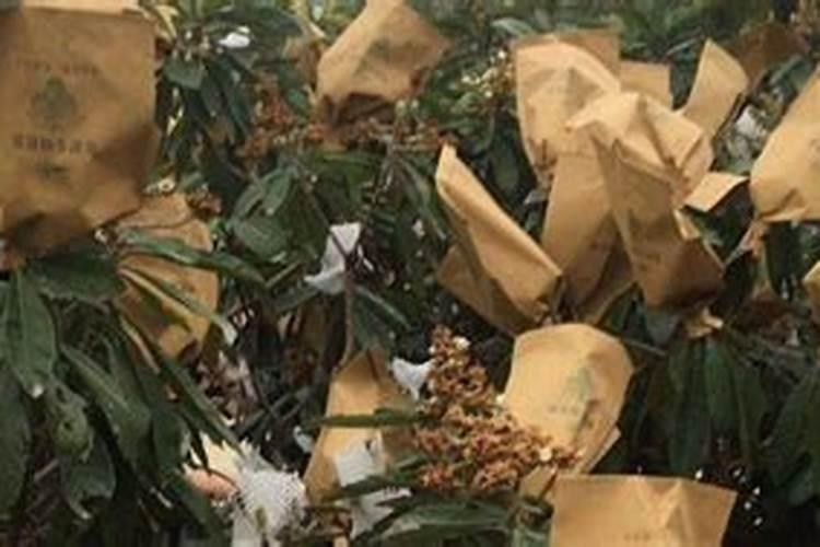 ...肥料的百分比是怎么算的。是100斤尿素就含有46个氮么