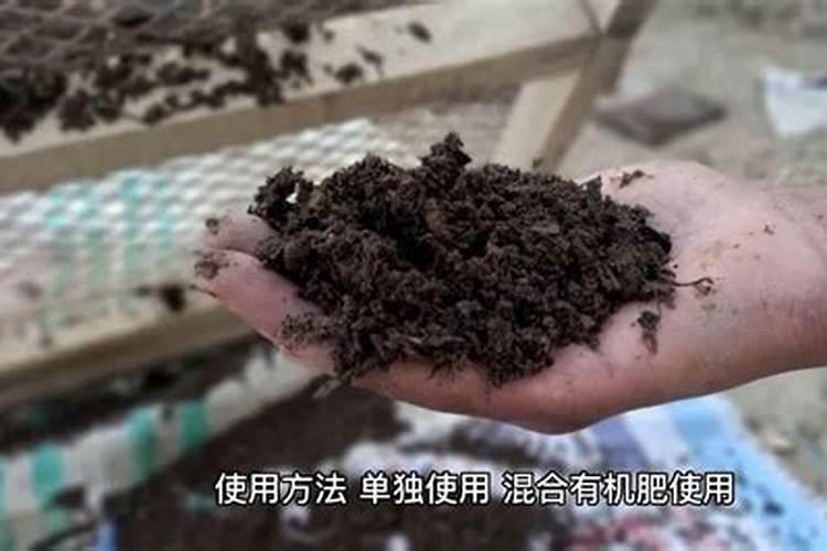 翠康花果灵最佳塔配