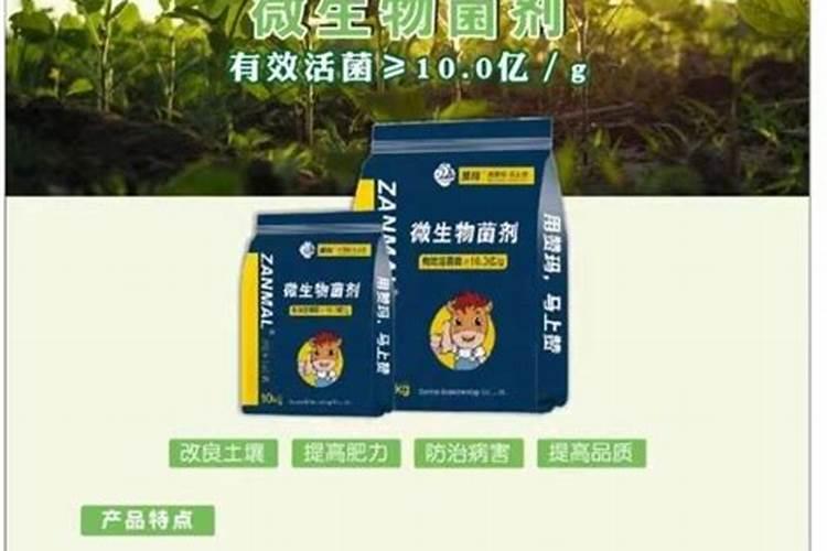 杨梅膨果肥用什么肥最好(杨梅膨果期施什么肥料又大又甜)