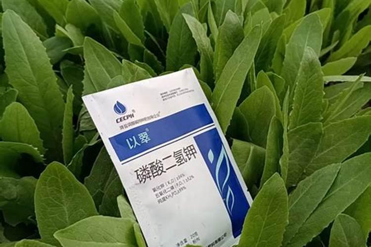 水溶肥该如何施肥？水溶肥施肥有什么方法？