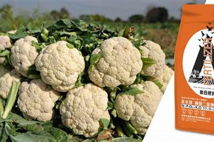 葵花籽仁变色了还能吃吗,会不会有健康风险？吃了变色葵花籽仁会花费多少...