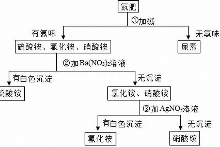 安徽中考化学实验有哪些
