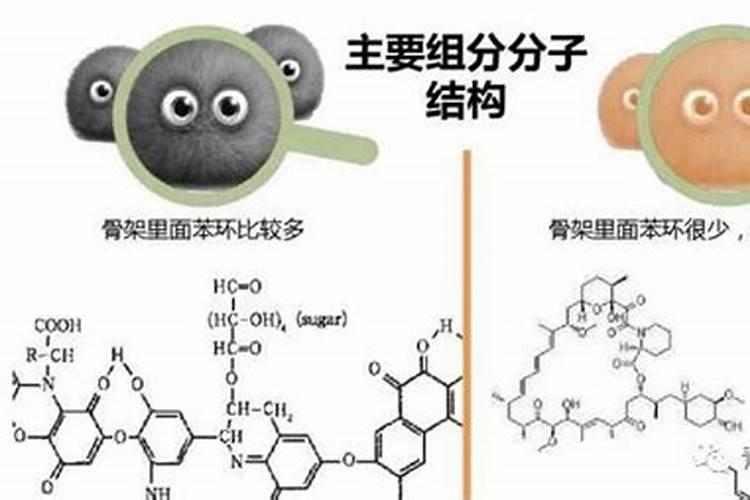 葡萄月子肥应该如何施用谢谢