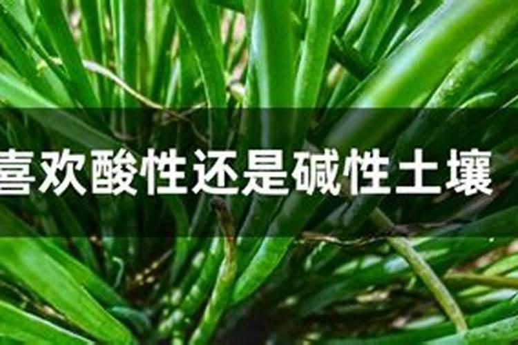 淘宝上的堆肥桶真的好用吗