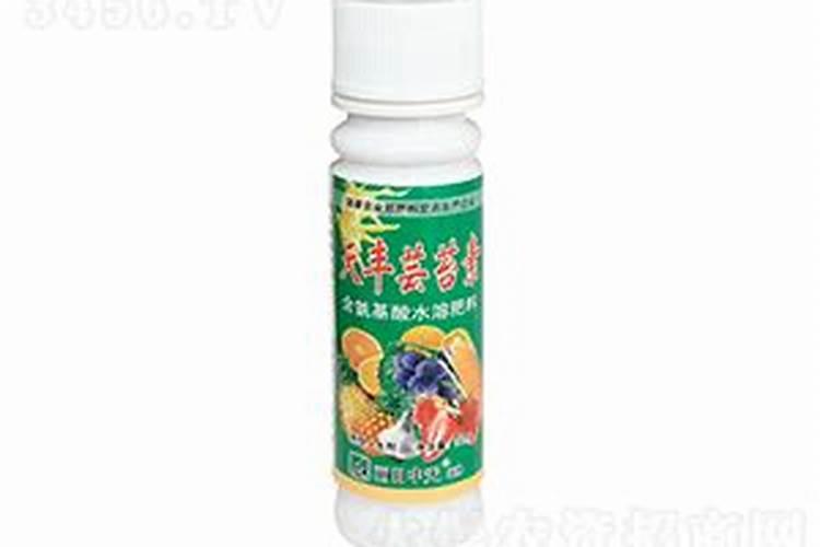 秋天适合种什么农作物