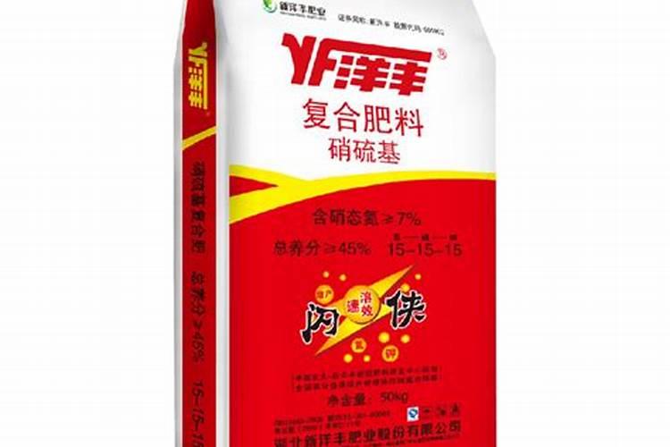 玫瑰花要种几个月才会开花