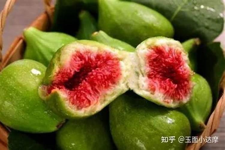 施肥是为了给植物提供什么、施肥对植物有什么好处