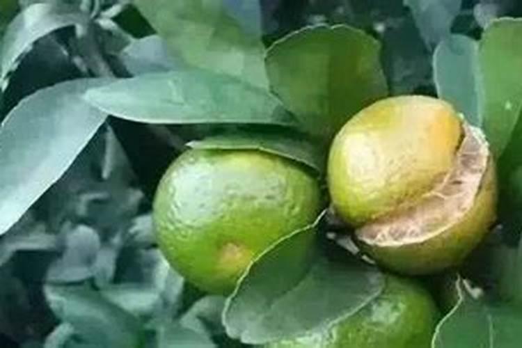 上海博郁肥料发展有限公司招聘信息,上海博郁肥料发展有限公司怎么样...