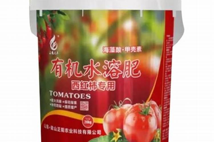 低洼地区是什么？