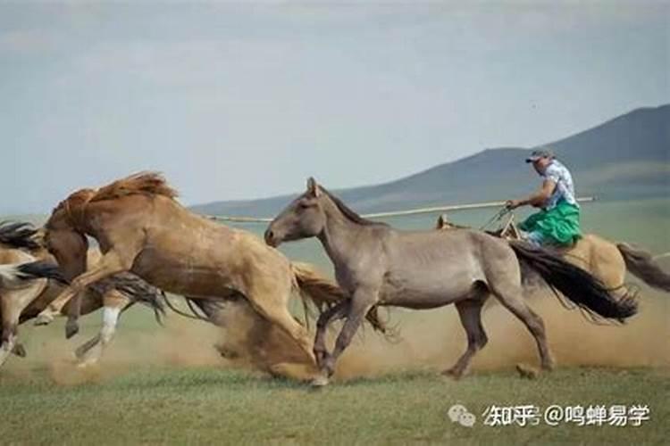 驿马化肥厂是不是大厂家