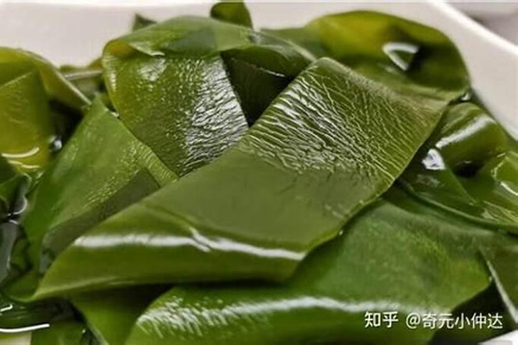 海带怎么种的人工种植