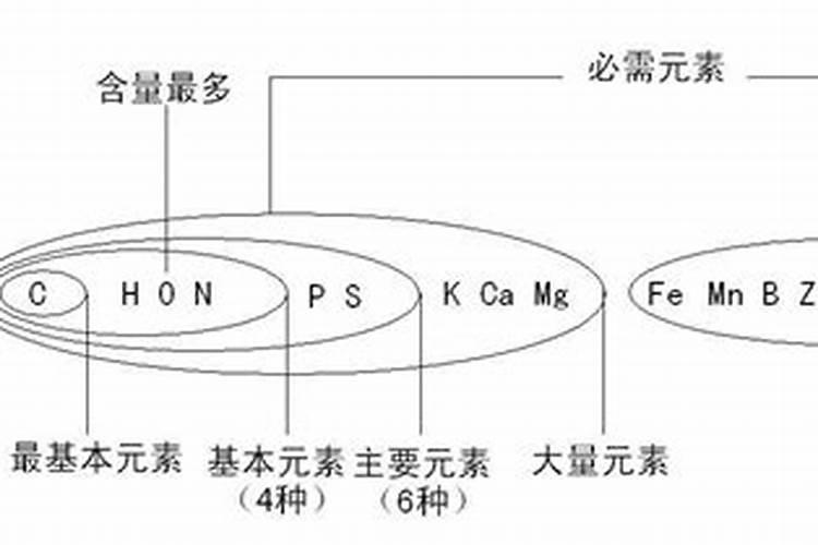 不计划挂果的柑橘幼树抢先开了花,如何应对小树开花现象？