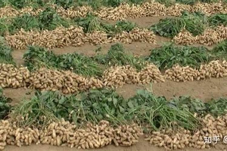 中量元素水溶肥执行标准