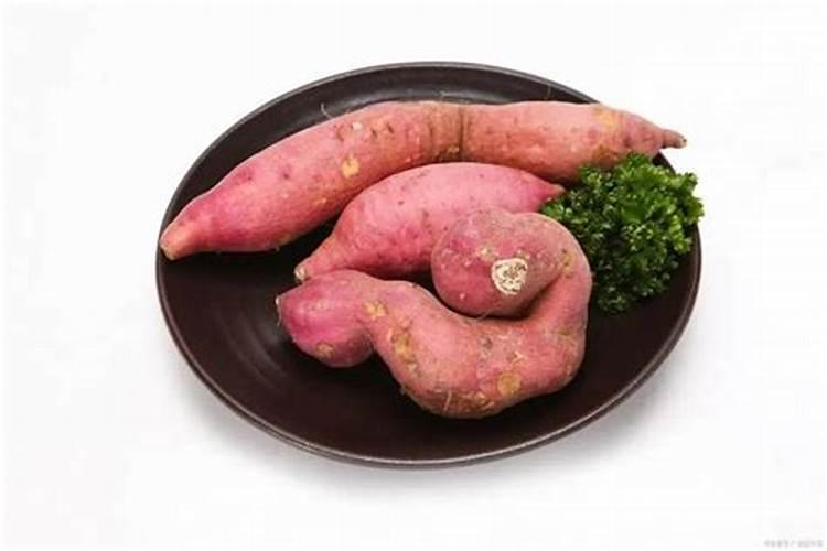 红薯怎么进行肥水管理