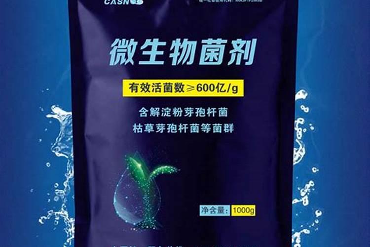 刚栽的柑橘树幼苗,施什么肥料？