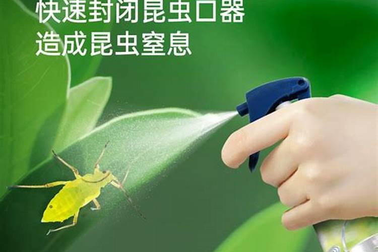 刚栽的柑橘树幼苗,施什么肥料,