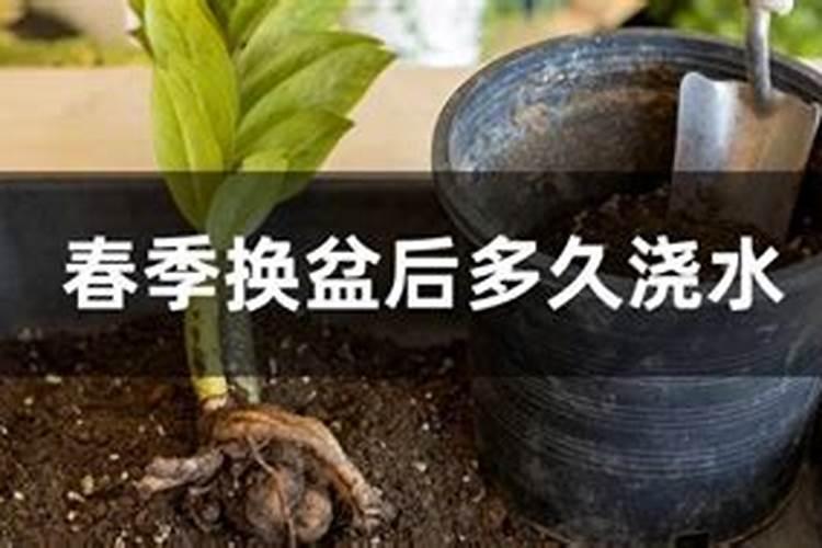 氮肥养花使用方法 氮肥养花的作用及使用方法