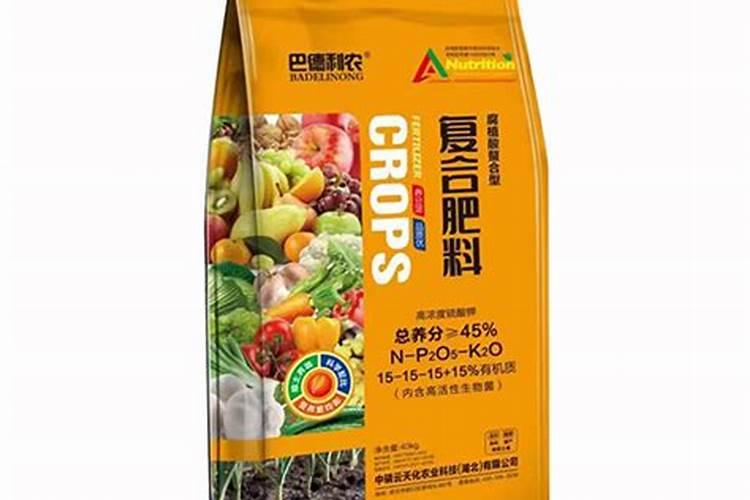 西红柿叶子怎么啦？请专点指点？