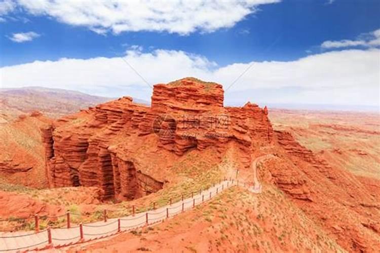 米兰花多久浇一次水