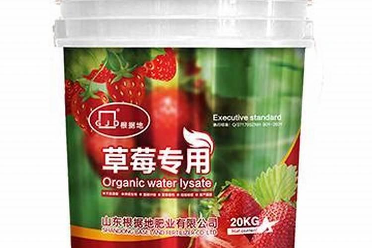 草莓专用肥是什么肥料,草莓施入氮磷钾肥的作用