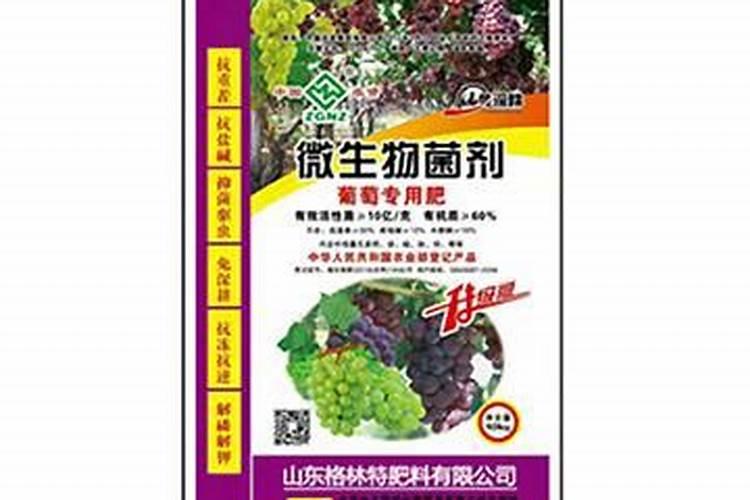 芸苔素内酯的分类和作用