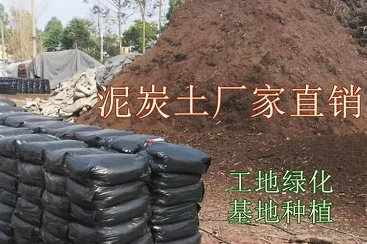 滴灌玉米施肥最佳方案