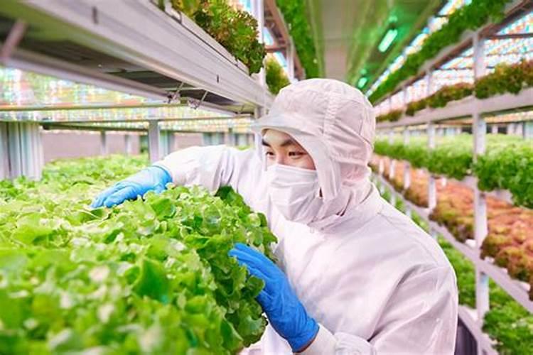 果树用什么水溶肥效果好？