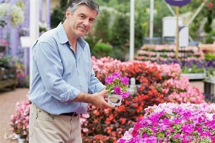 什么肥料能促进花芽生长、发芽期间施什么肥