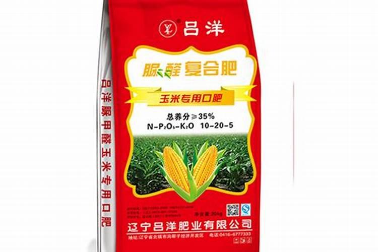 果树花前花后打什么药防虫害