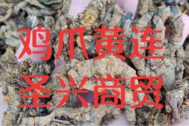 小番茄表面有黑色印子