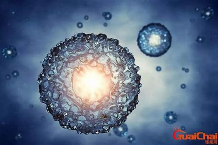 什么是磷肥和钾肥