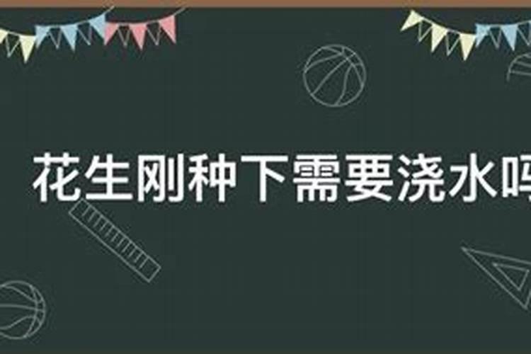 刚移植的花草可以施肥吗？