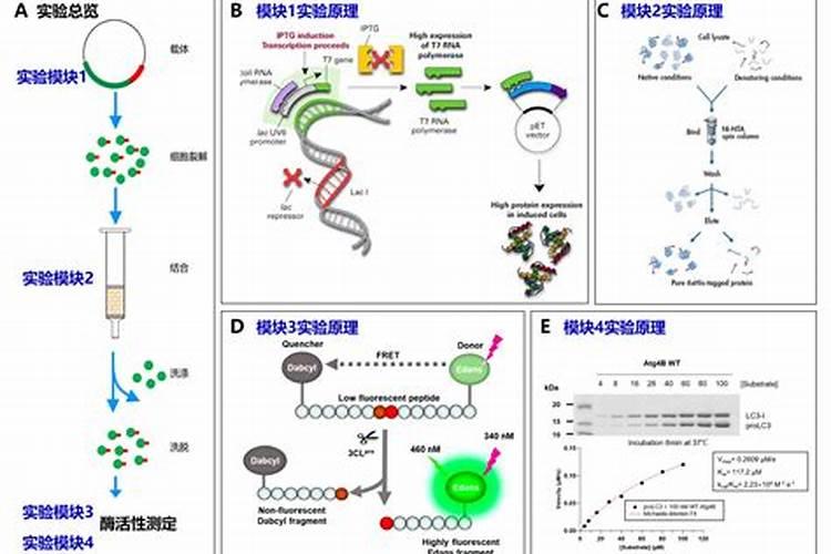 尿素能和农药一起打吗