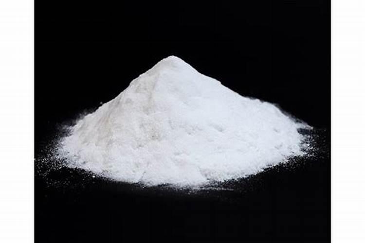 如何养好红豆杉树？