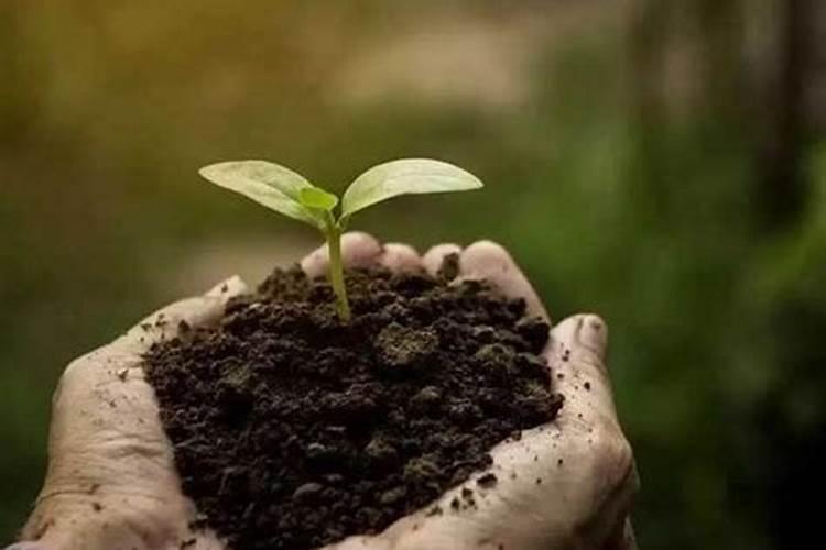 黑龙江彤洲生物肥制造有限公司怎么样？