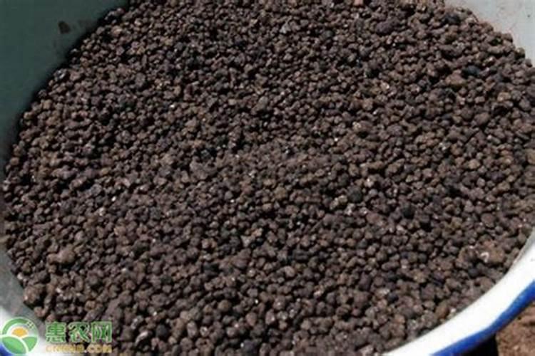 大葱用什么化肥好？增产用昆仑风多久一次