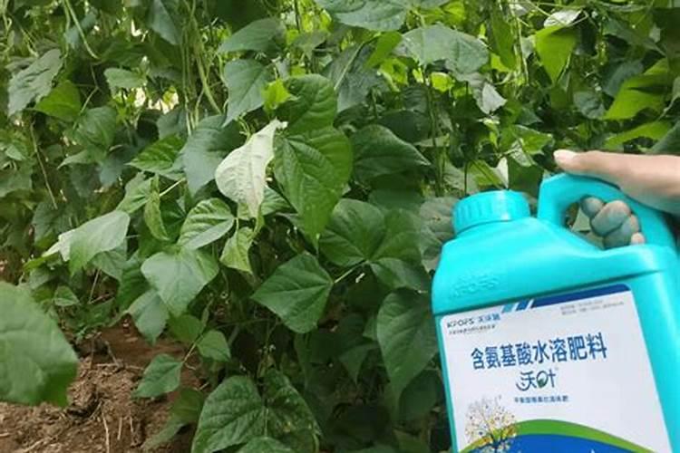 使用水溶肥的正确方法