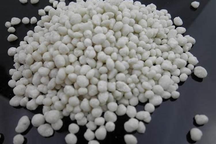 种土豆施什么肥最好