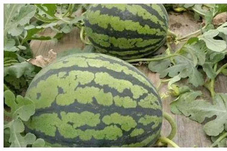 水溶肥生产工艺,需要什么设备？