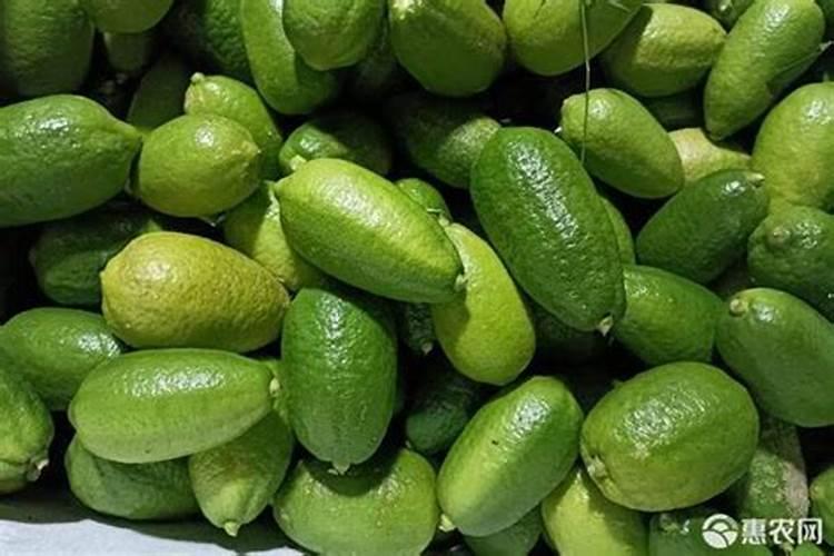 阳光玫瑰的施肥方案