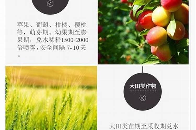 氮钾肥是什么化肥